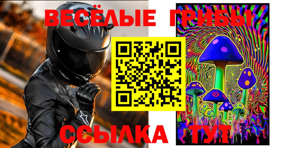 Алексеевка  Галлюциногенные грибы прущие грибы  Вход с VPN 